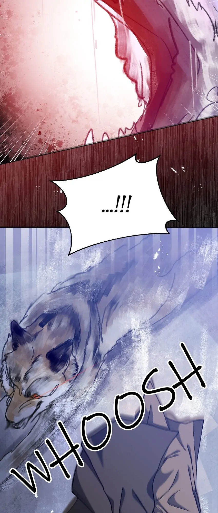 26642220 850 2000 148344