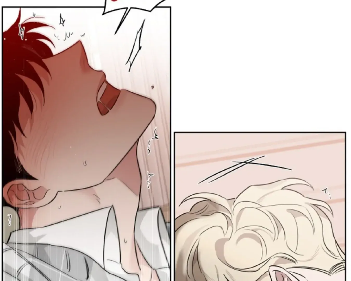 71311100 1348 1080 48052