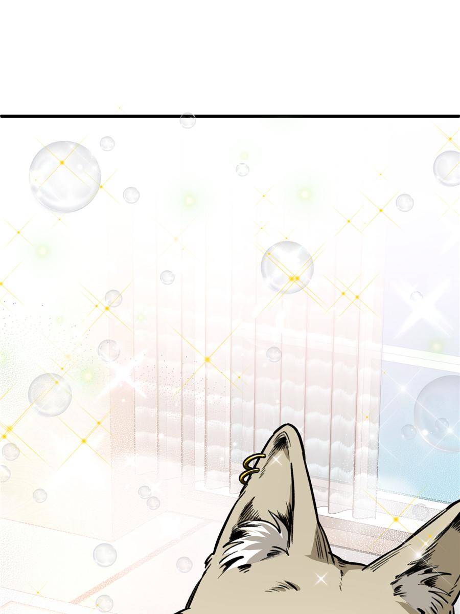 7. Let's just play dumb first 90 75870203 900 1200 61364