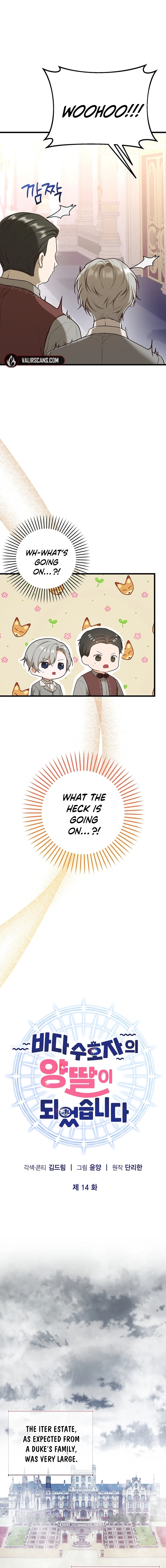 77322828 800 7530 516812