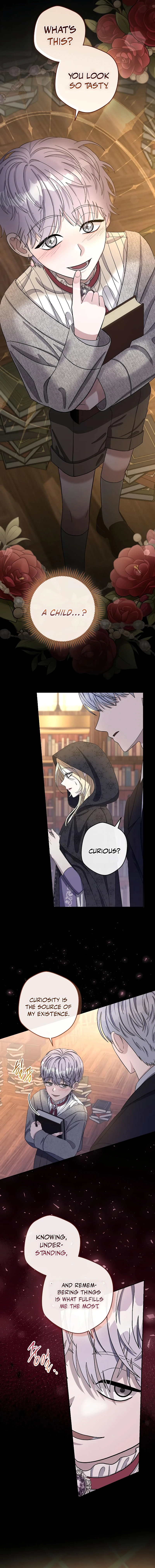 74895422 800 8080 699782